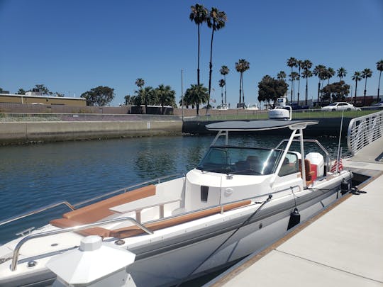 Fast and lots of fun - power cruiser twin outboards 200 hp | 28ft Axopar T-Top