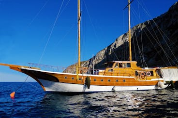 Liveaboard & Diving Safari Med Sea: Aegadian islands, Malta, Tunisia