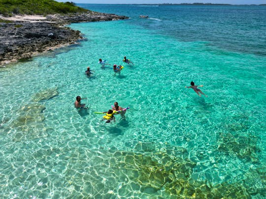 Glass Bottom Boat Snorkel Adventures & Pig Beach in Bahamas