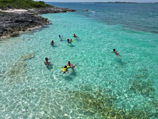 Aventuras de mergulho com snorkel com fundo de vidro e praia de porcos nas Bahamas