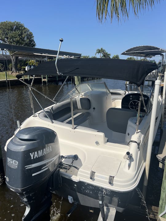 Barco de convés 217 Hurricane 21'