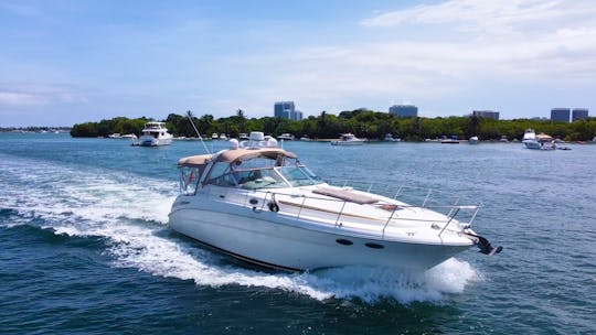 42' Sea Ray Sundancer Motor Yacht Rental in North Miami Beach, Florida