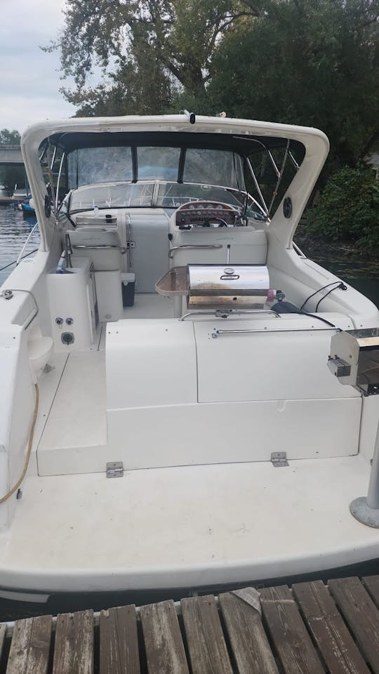 Luxury Boat Wellcraft 40"