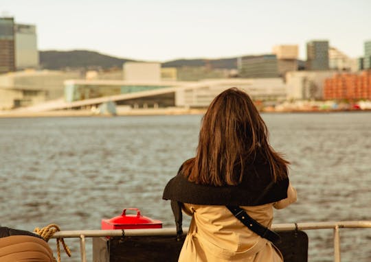 Cruzeiro turístico de 2 horas em Oslofjord