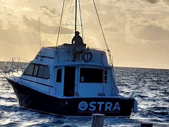 Fishing Charter 38’ Comfort Line Boat, in Cancun, Mexico
