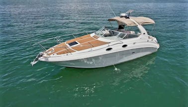 Yacht Sea Ray Sundancer de 34 pieds avec capitaine licencié par l'USCG