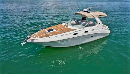 Lake Havasu Luxury Charter Sea Ray Sundancer 