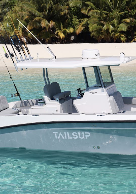 Tails Up Tours - Fishing Charters & Excursions