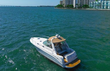 Sea Ray Sundancer Yacht Charter In Miami 
