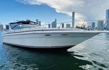 Enjoy Miami In Four Winns 42ft for Charter! Sightseeing and More!
