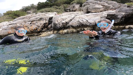 Paseos en barco para bucear en Nea Makri, Atenas