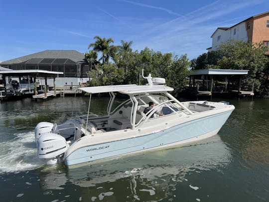 World Cat 296 DC, meilleur catamaran d'équitation fabriqué