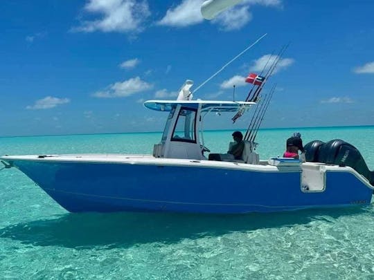 船長、燃料、氷、水が含まれています 💥☀️🏝️🛥️💥 超快適ボート