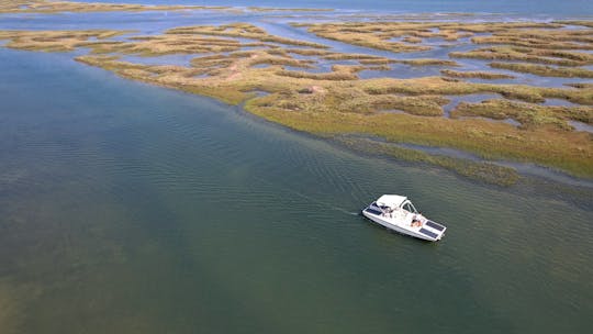 Private Boat Tour in Ria Formosa from Faro