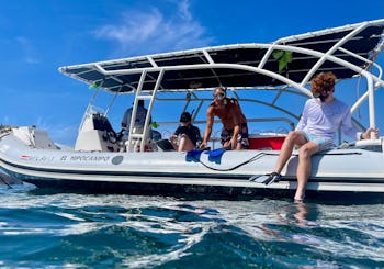 Seahorse, um barco especializado para passeios de snorkel, passeios pela praia e mergulho