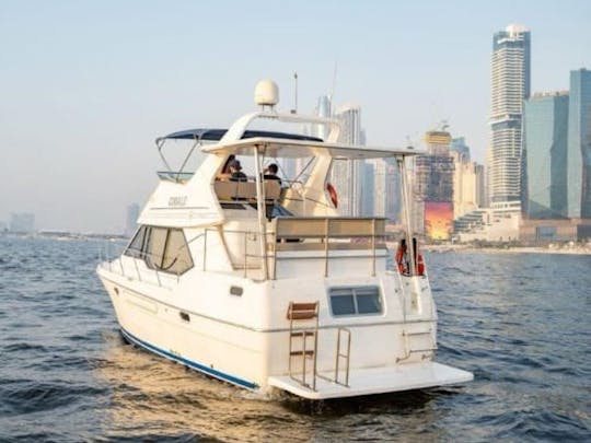 41ft Adagio Motor Yacht (12 Pax)
