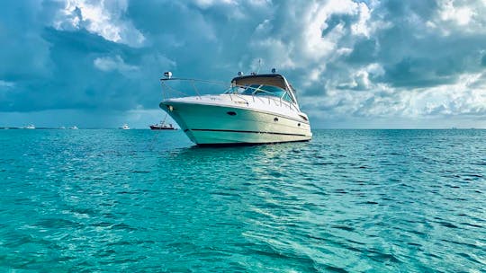 Sea Ray Sundancer 34ft Motor Yacht Rental in Miami, Florida