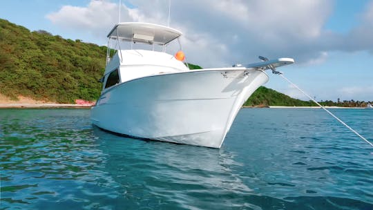 Excursion privée en bateau, île Fajardo PR Icacos ou île Palomino, SEA BOB INCLUS