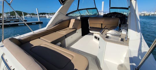 Beautiful Sea Ray 310 Sundancer Yacht