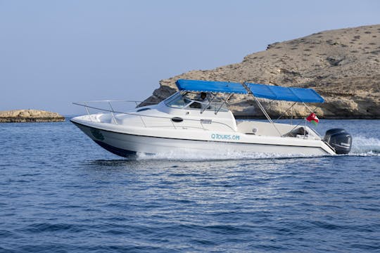 Exclusive Dolphin Watching on Silvercraft 36CC in Muscat, Oman