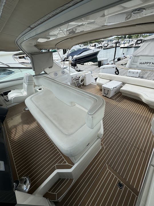 Yate Sea Ray Sundancer de 50 pies para 13 huéspedes en Chicago, IL: ¡precio reducido! (MPY #1)