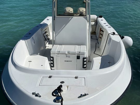 Saona Isalnd private boat