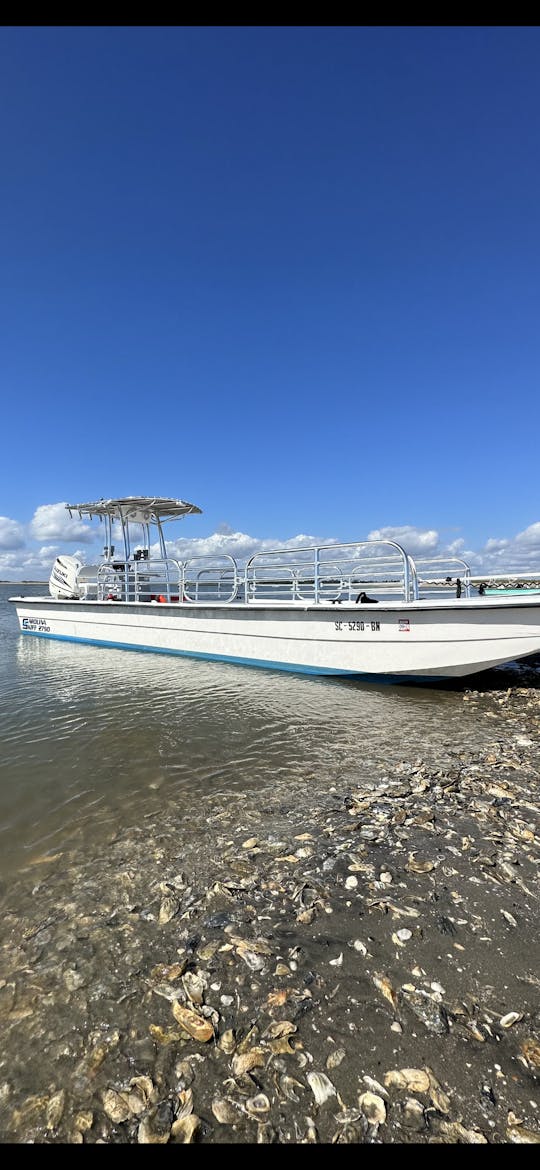 Sightseeing/Sunset/Booze/Dolphin Cruises/in Folly Beach, South Carolina