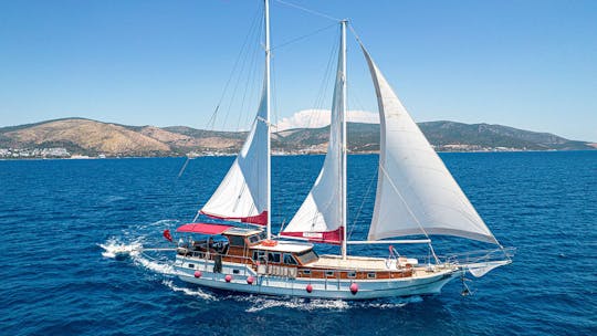 Visite privée personnalisée de 75 golets à Bodrum