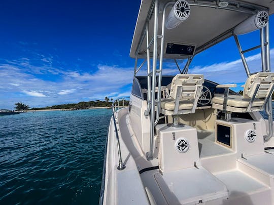 Private Tours~ Snorkeling at Palomino & Icacos Islands- Grady White 27'