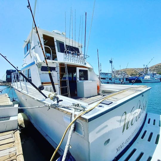 38ft Sport fishing Boat for 8 people in Baja California!