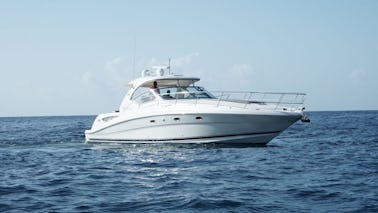Sea Ray 42 foot Motor Yacht for 12 people in Dominican Republic