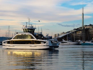 Crucero turístico de 2 horas por el fiordo de Oslo