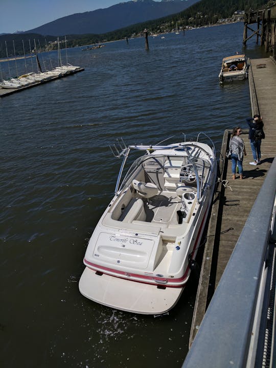 21 Foot Sport Cruiser with Wakeboard Tower