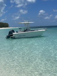 Excursions privées d'agrément sur l'île Rose et l'île Gilligan, baignade avec cochons 