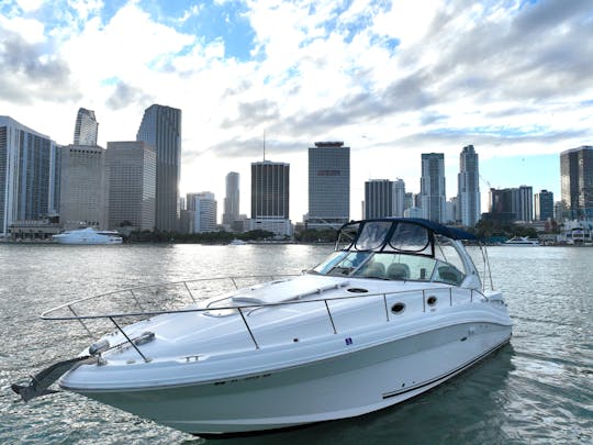 Scenic Miami Boat Tour: Skyline & Celebrity Homes ⚓️|SeaRay 37" Champagne🍾🥂