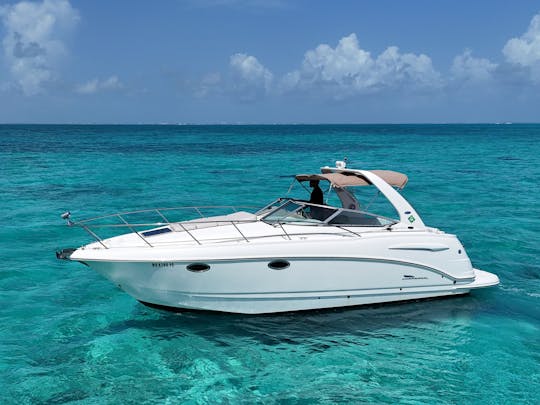 Alquiler de yate Chaparral de 31 pies desde Caimán