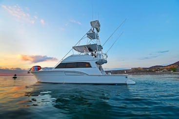 58' Luxury Sport Fishing Yacht, ideal for you perfect adventure in La Paz.