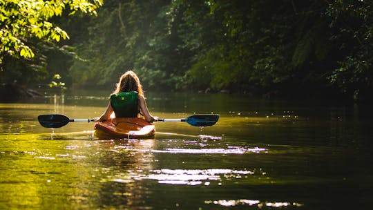  🌊🚣 Explore Grand Rapids!! Single Kayak Rental