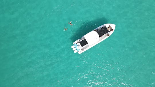 BOSTON WHALER ULTIMATE I, 38 pies