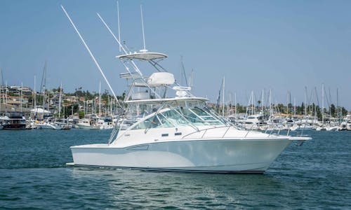 35' Cabo Express Power Yacht in Fajardo (perfect for large groups & families!)