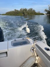 22ft Cobia Center Console in Siesta Key