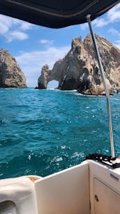 Cabo's Finest Charter: Unforgettable 35ft Sea Ray Experience