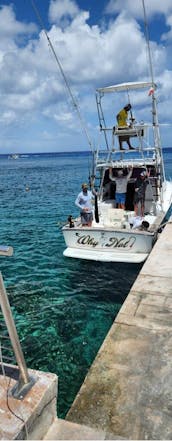 Fishing Charter On 31ft ''Why Knot?'' Sport Fisherman Yacht in Cozumel, Mexico