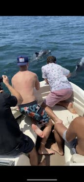 Stingray Power Boat in Cass Lake