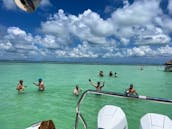Luxury Adventure Boat: Brabus of the Seas - Up to 13ppl - Islamorada/Key Largo 