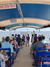 Dolphin & Manatee Sightseeing Cruise in Melbourne/Cocoa Beach