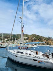 Avalon Harbor's Only Sailing Charter