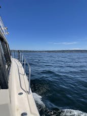  38' Bayliner Family Fun!  