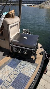 Crestliner Pontoon Boat Shasta Lake 