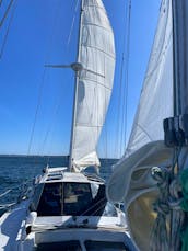 Sail with us aboard ARTEMIS in Gloucester MA and New England